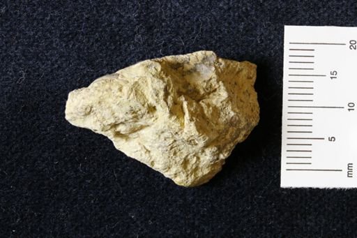 Marginifera wabashensis