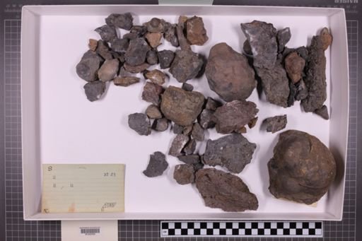 mixed taxa, stratigraphic collection