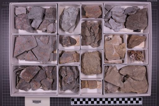 mixed taxa, stratigraphic collection