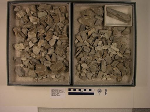 Hadrosauridae
