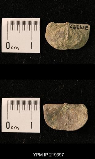 Chonetes granulifer