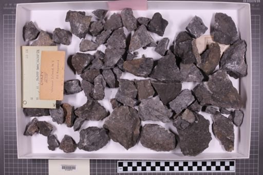 mixed taxa, stratigraphic collection