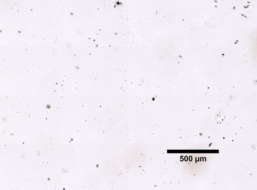 cf. Velinea