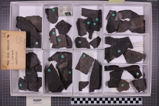 mixed taxa, stratigraphic collection