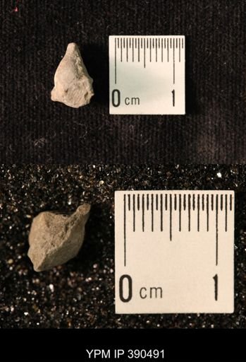 Heteroschisma