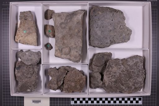 mixed taxa, stratigraphic collection