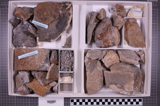 mixed taxa, stratigraphic collection