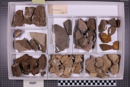 mixed taxa, stratigraphic collection