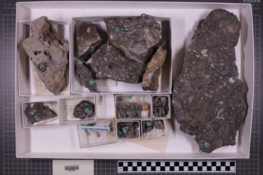 mixed taxa, stratigraphic collection