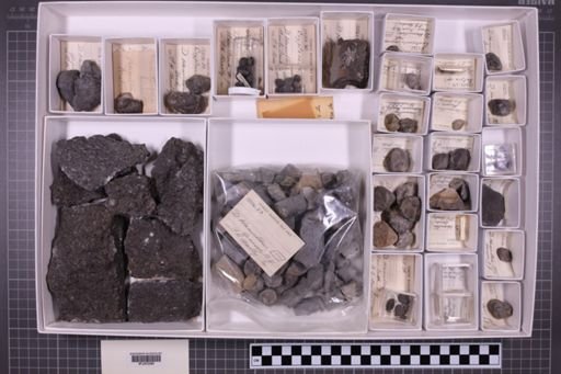 mixed taxa, stratigraphic collection