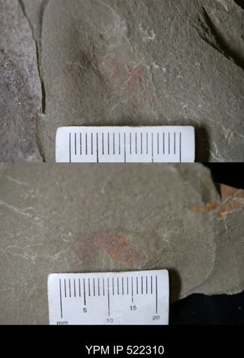 Problematica
