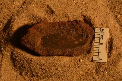 Andromeda cretacea