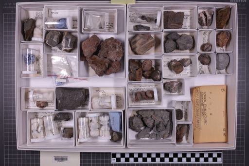 mixed taxa, stratigraphic collection