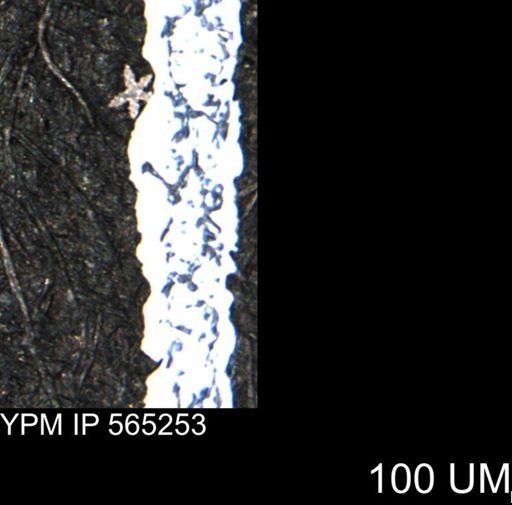 undet. Porifera