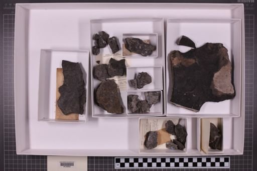 mixed taxa, stratigraphic collection
