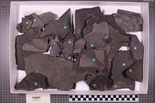 mixed taxa, stratigraphic collection