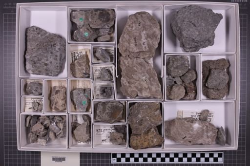 mixed taxa, stratigraphic collection