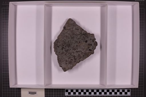 mixed taxa, stratigraphic collection
