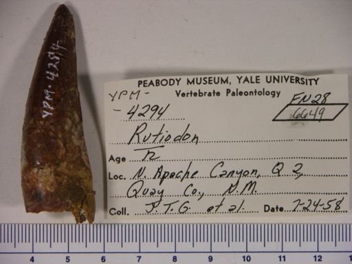 Parasuchidae