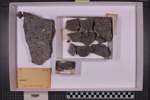 mixed taxa, stratigraphic collection