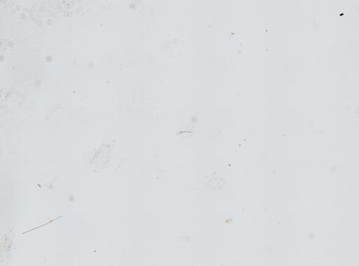 Ianthella