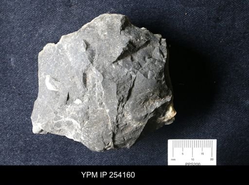 lithologic sample