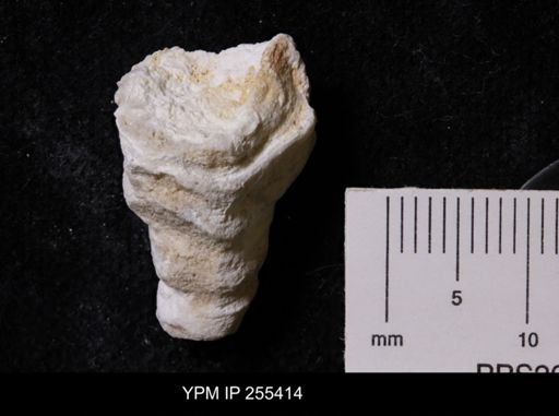 Virgola?