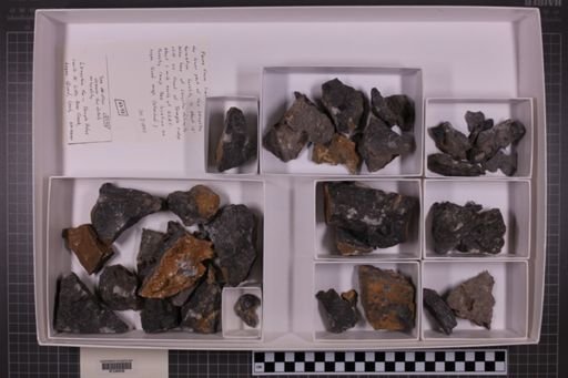 mixed taxa, stratigraphic collection