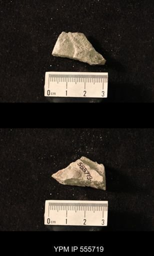 Productus pertenuis