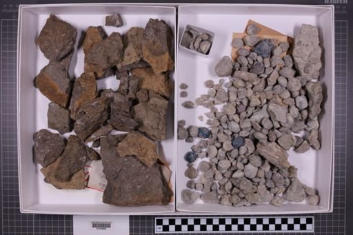mixed taxa, stratigraphic collection