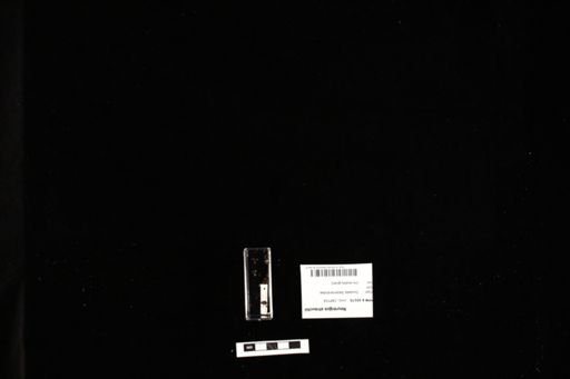 Neurergus strauchii