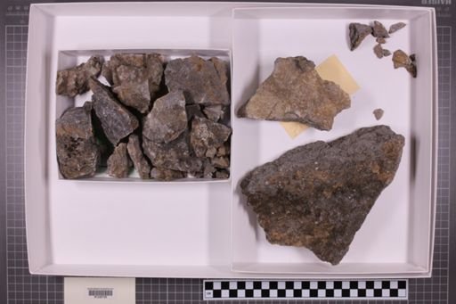 mixed taxa, stratigraphic collection