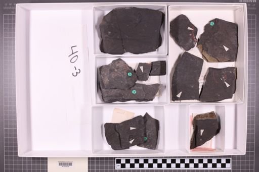 mixed taxa, stratigraphic collection