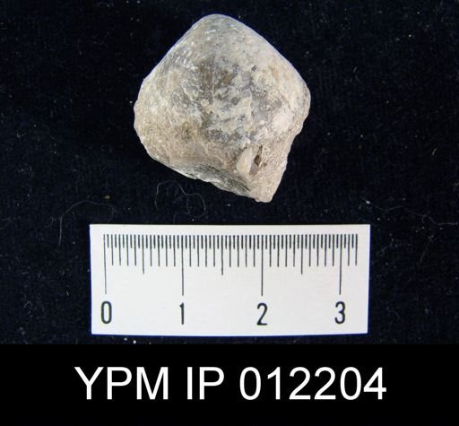 Composita mira