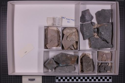 mixed taxa, stratigraphic collection