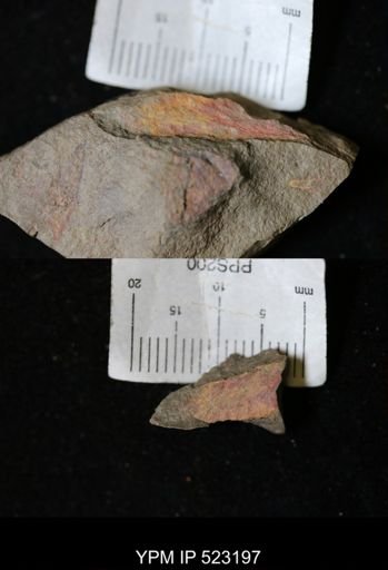 Problematica