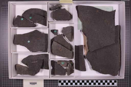 mixed taxa, stratigraphic collection