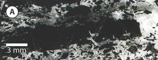 thin section