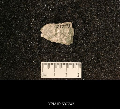Brachyprion anticostiense