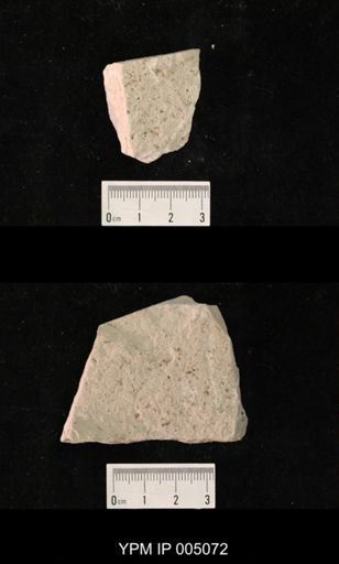 Psocidium permianum