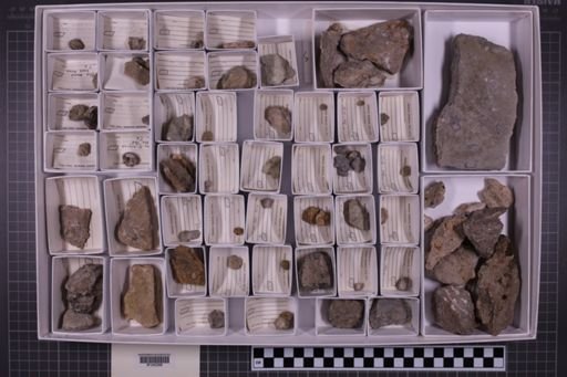 mixed taxa, stratigraphic collection