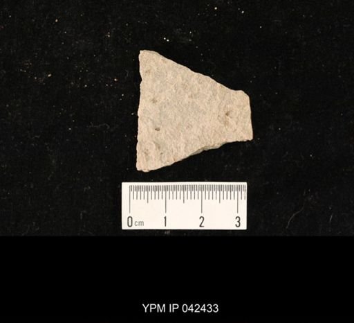 undet. Hexapoda