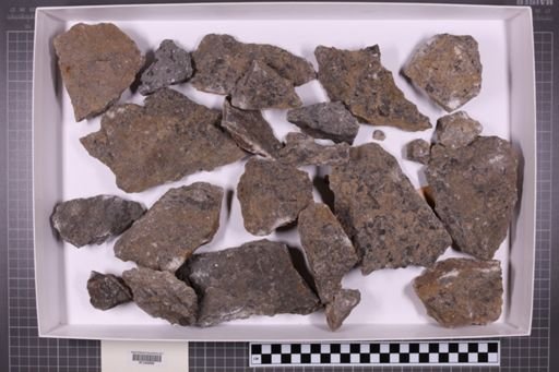 mixed taxa, stratigraphic collection