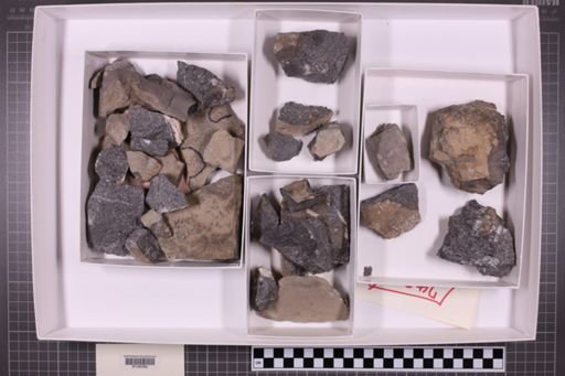 mixed taxa, stratigraphic collection