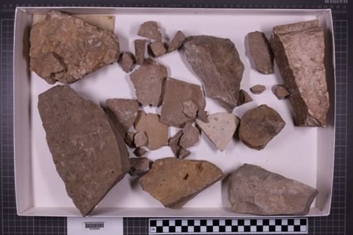 mixed taxa, stratigraphic collection