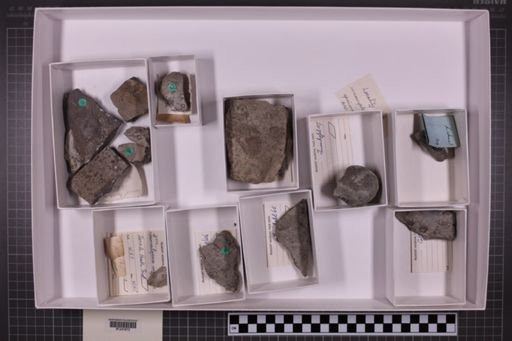 mixed taxa, stratigraphic collection