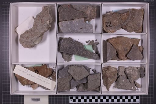mixed taxa, stratigraphic collection