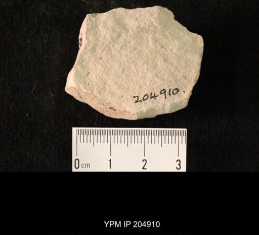 undet. Hexapoda