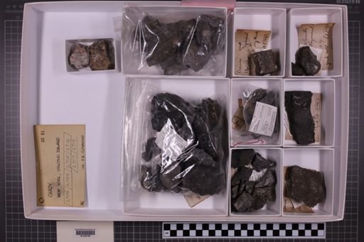 mixed taxa, stratigraphic collection