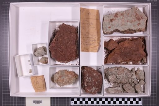 mixed taxa, stratigraphic collection